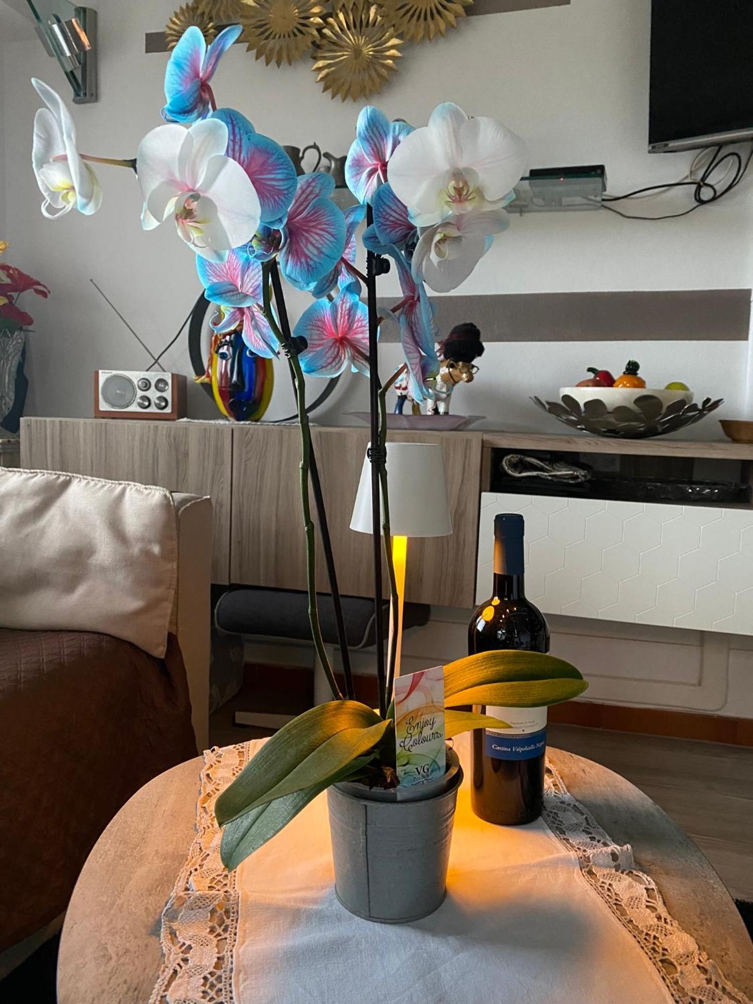 Casa Heli II Apartment Сан Дзено ди Монтаня Екстериор снимка